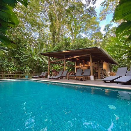 Satta Lodge (Adults Only) Puerto Viejo de Talamanca المظهر الخارجي الصورة