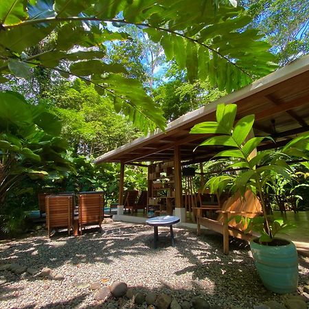 Satta Lodge (Adults Only) Puerto Viejo de Talamanca المظهر الخارجي الصورة