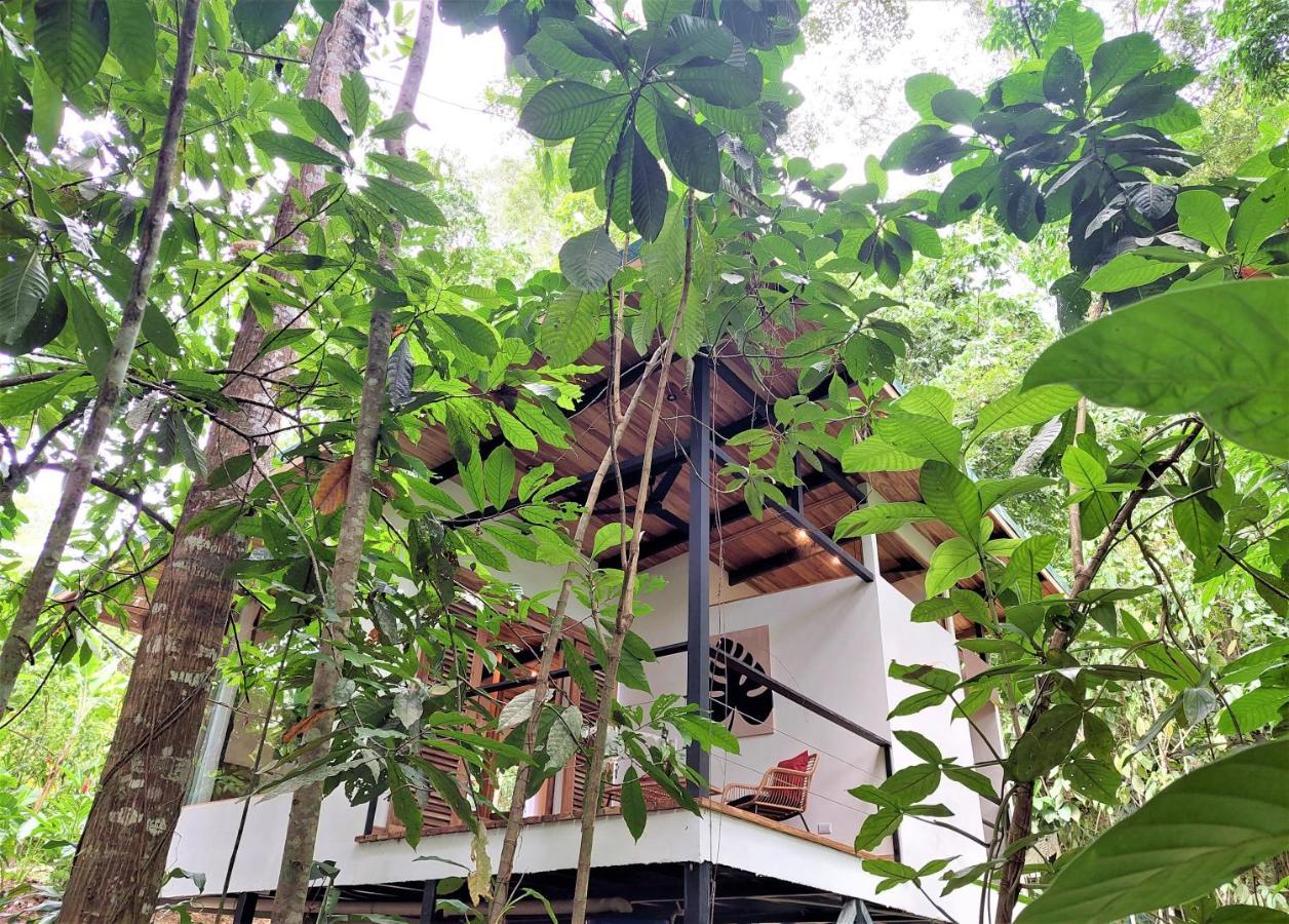 Satta Lodge (Adults Only) Puerto Viejo de Talamanca المظهر الخارجي الصورة