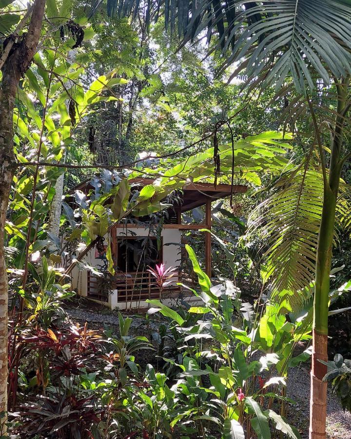 Satta Lodge (Adults Only) Puerto Viejo de Talamanca المظهر الخارجي الصورة