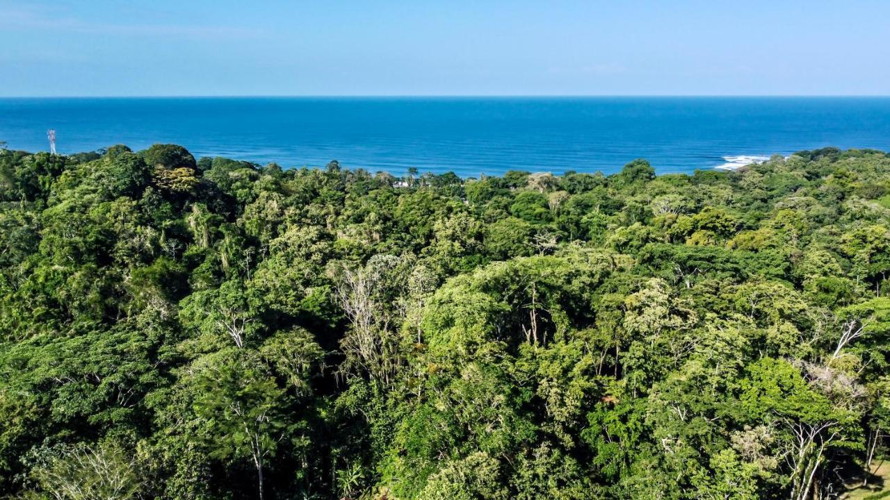 Satta Lodge (Adults Only) Puerto Viejo de Talamanca المظهر الخارجي الصورة