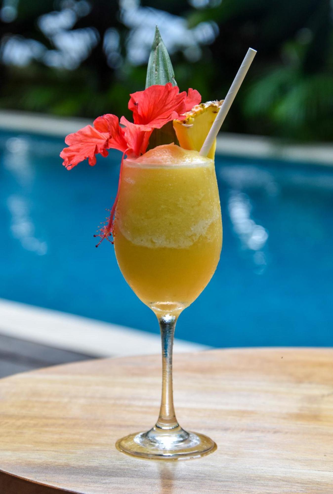 Satta Lodge (Adults Only) Puerto Viejo de Talamanca المظهر الخارجي الصورة