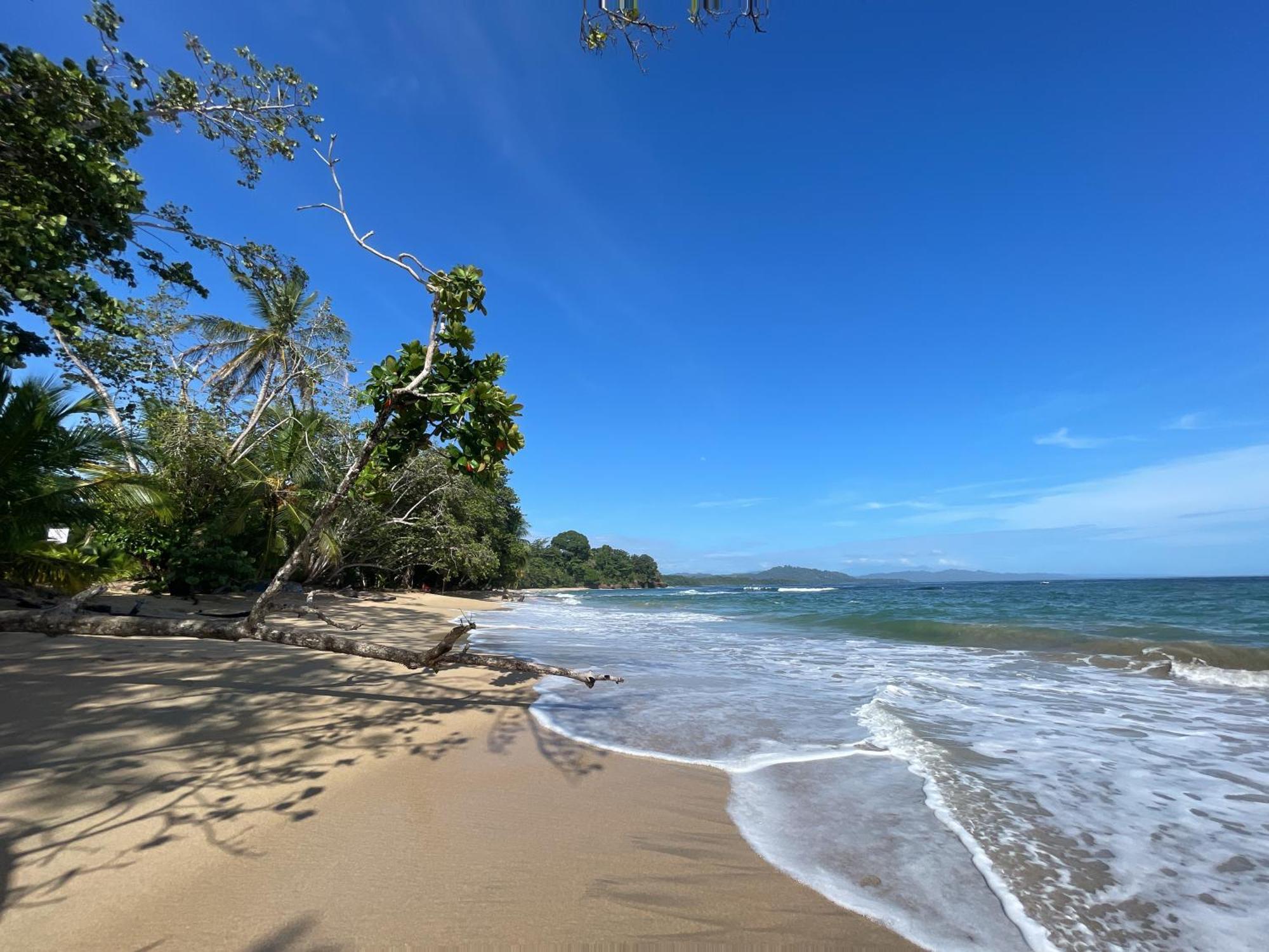Satta Lodge (Adults Only) Puerto Viejo de Talamanca المظهر الخارجي الصورة