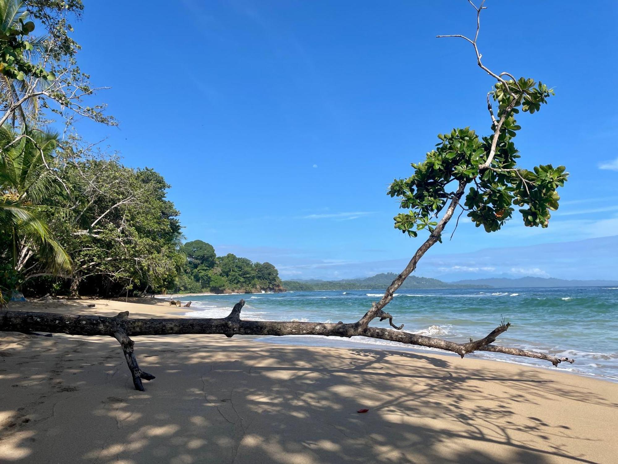Satta Lodge (Adults Only) Puerto Viejo de Talamanca المظهر الخارجي الصورة