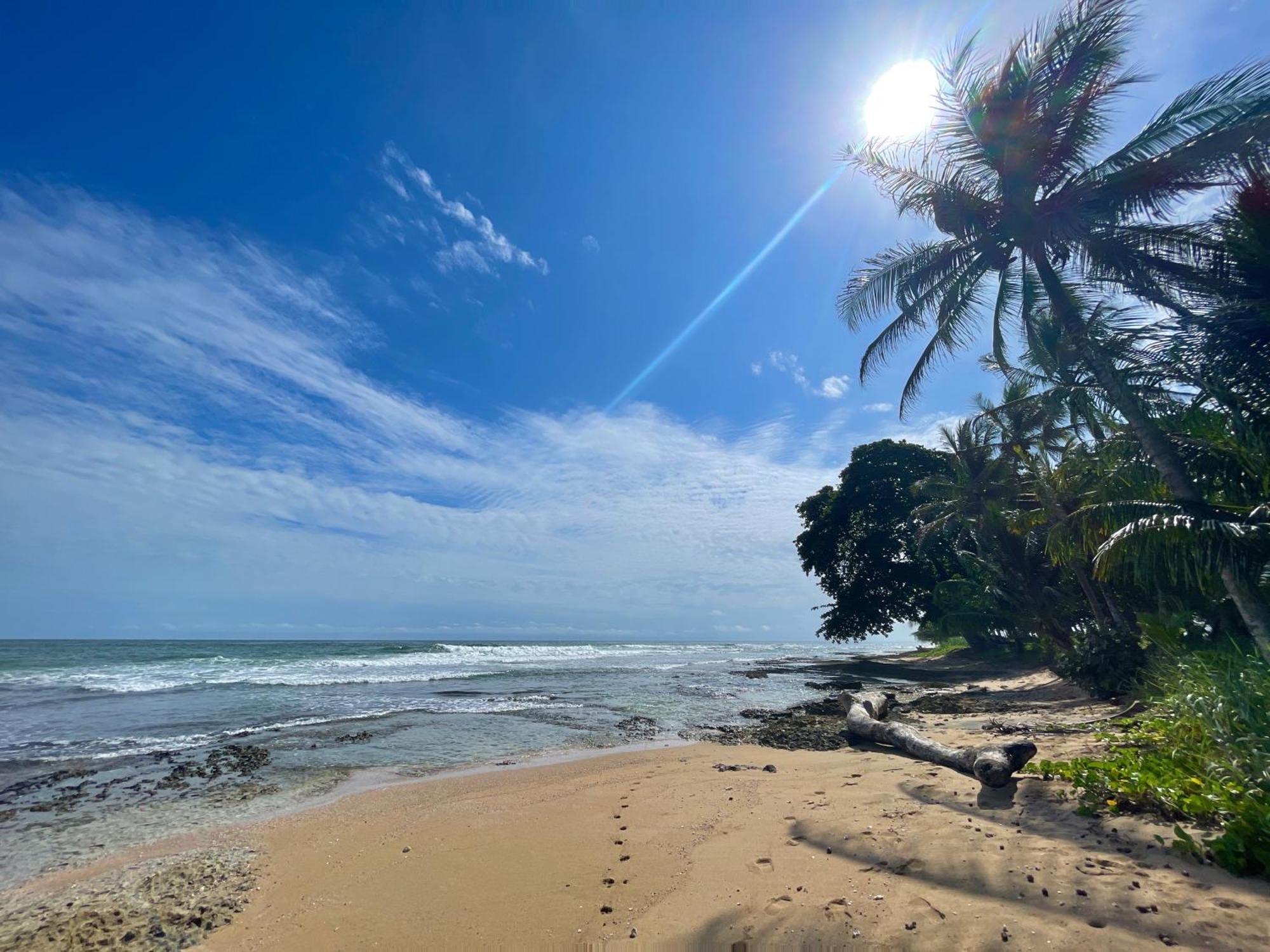 Satta Lodge (Adults Only) Puerto Viejo de Talamanca المظهر الخارجي الصورة