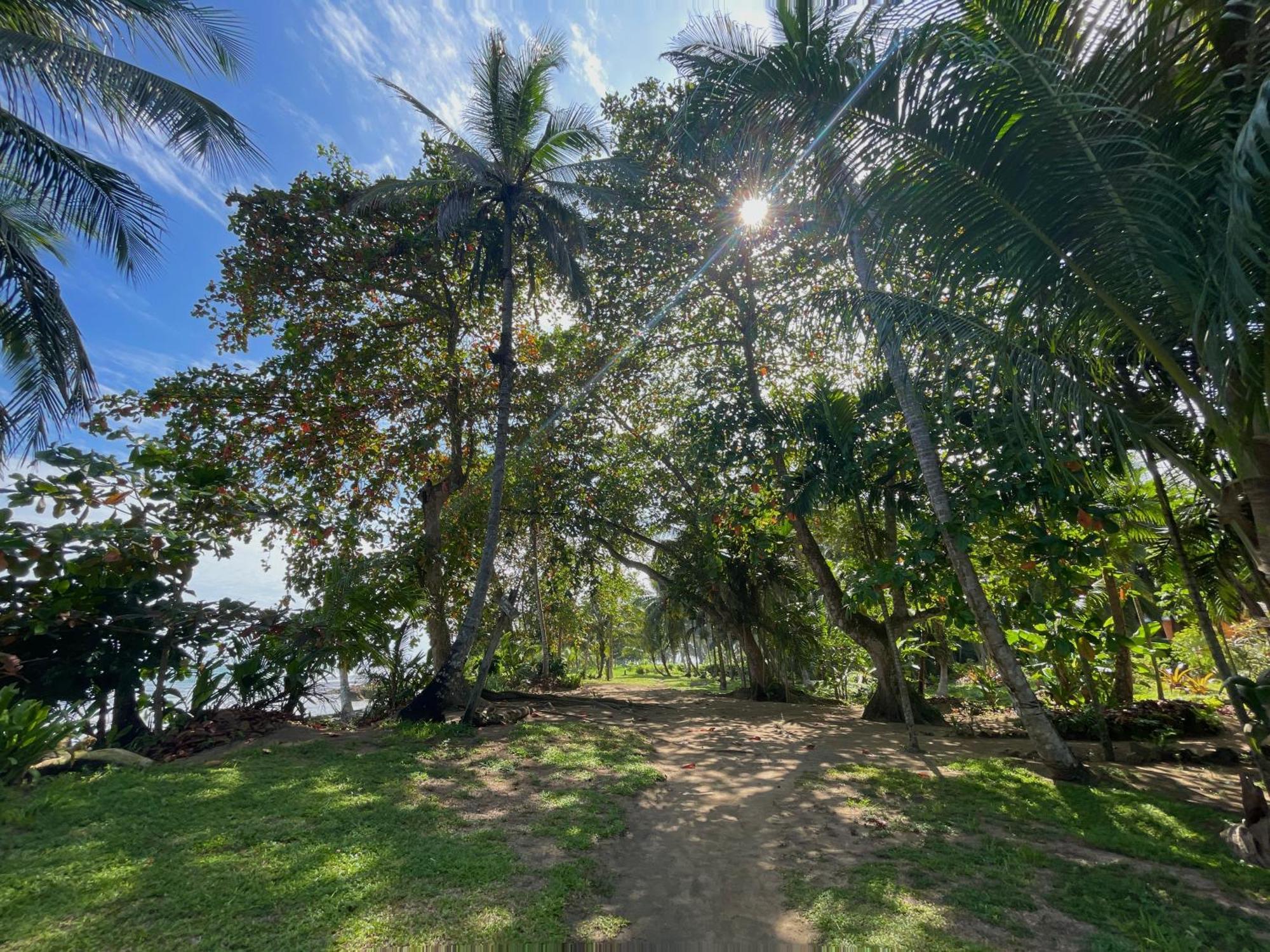 Satta Lodge (Adults Only) Puerto Viejo de Talamanca المظهر الخارجي الصورة