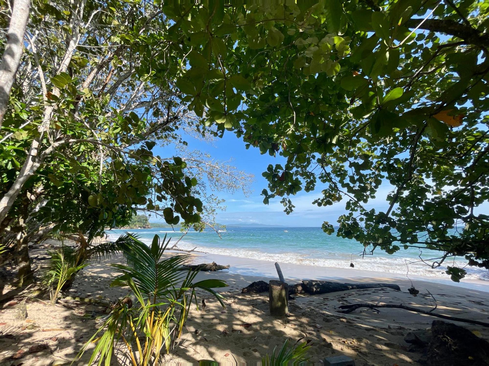 Satta Lodge (Adults Only) Puerto Viejo de Talamanca المظهر الخارجي الصورة