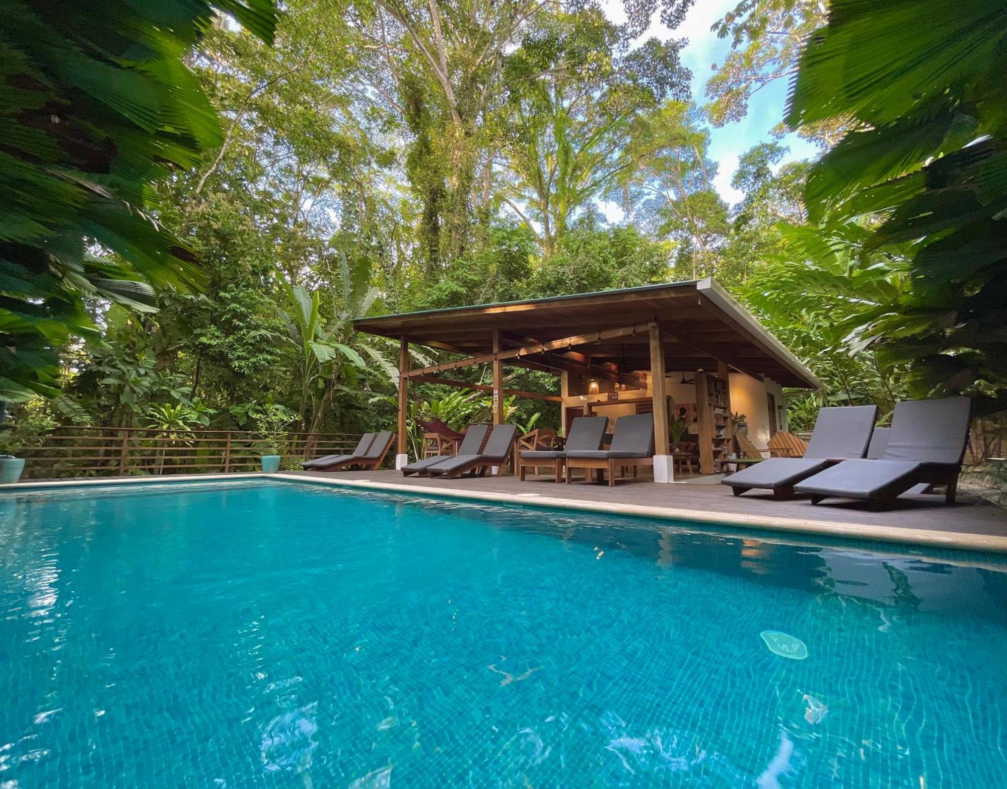 Satta Lodge (Adults Only) Puerto Viejo de Talamanca المظهر الخارجي الصورة