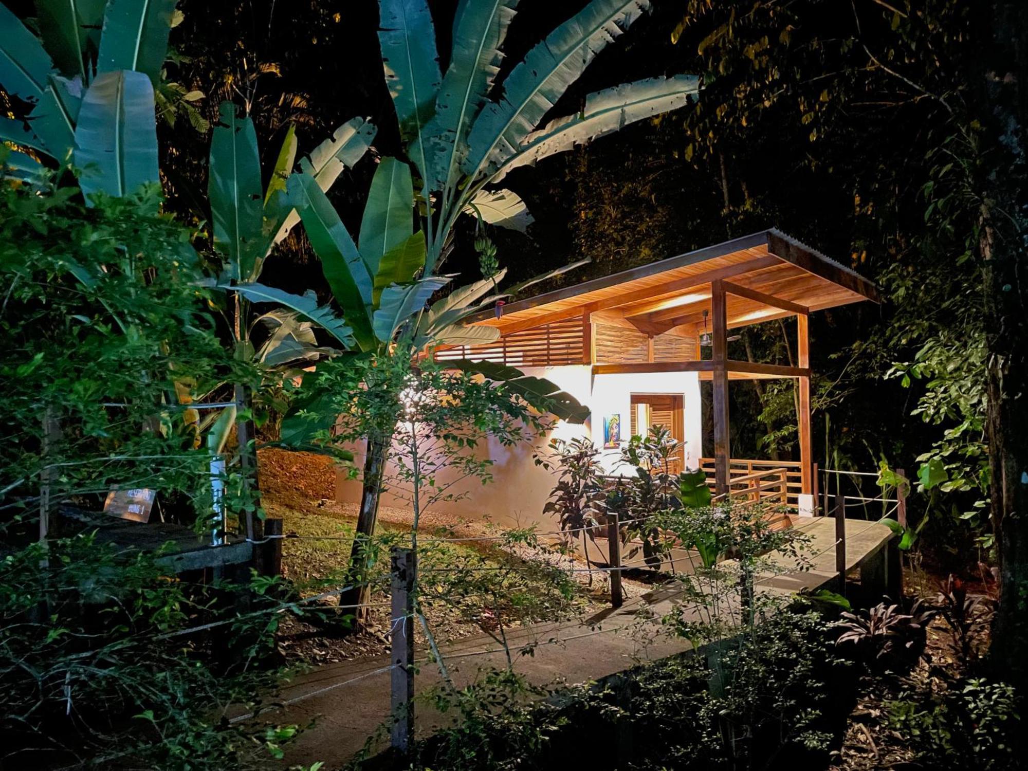 Satta Lodge (Adults Only) Puerto Viejo de Talamanca المظهر الخارجي الصورة