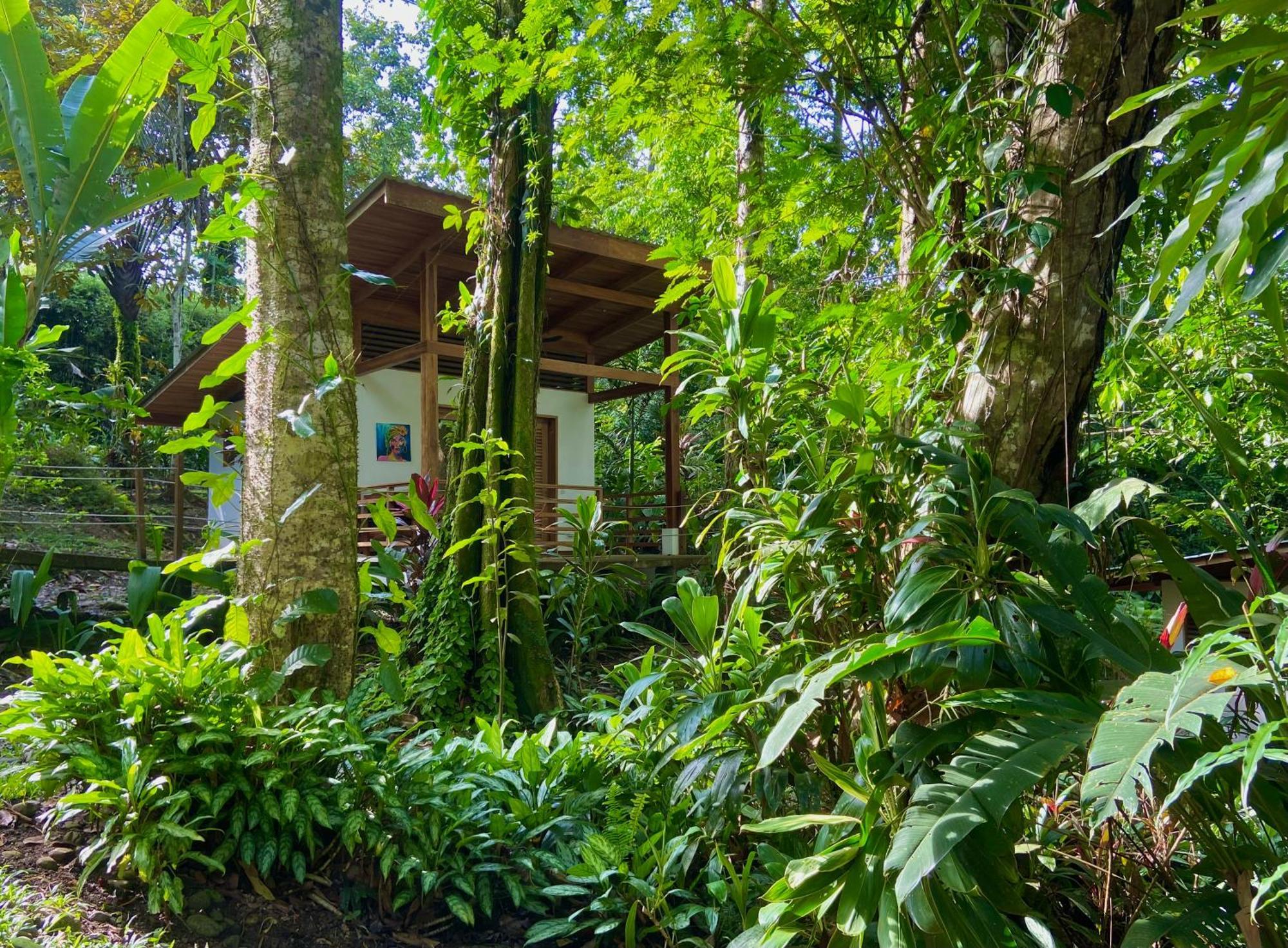 Satta Lodge (Adults Only) Puerto Viejo de Talamanca المظهر الخارجي الصورة